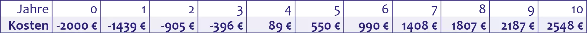 Net Present Value (NPV) unter Berücksichtigung der Inflations- und Kreditzinsen.